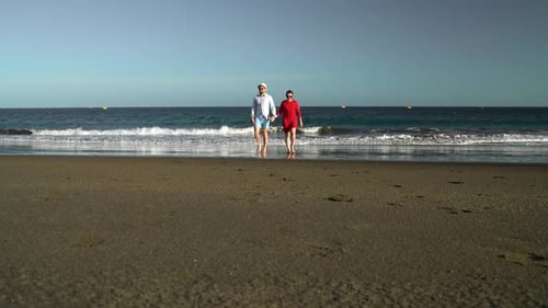 Couple in Love Carefree Walking From the Water on the Beach