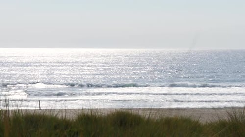 Ocean