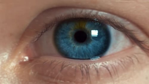 Gros plan d'un œil bleu