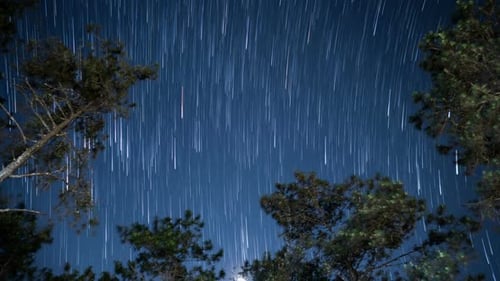 Star Trails