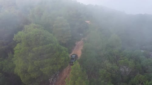 Mysterious Trail in the Forest Filmed on a Drone