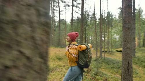 Touristin wandert durch den alten Pinienwald und schaut sich um