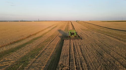 Combine Harvester Harvests In The Field