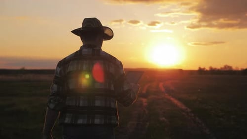 Farmer Uses Tablet in Field at Sunset