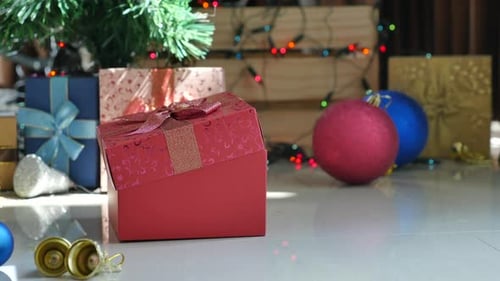 Kitten Pops Out of Christmas Gift Box