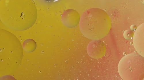 Macro Shot of Golden Yellow and Peach Orbs