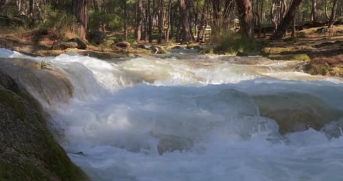 Kristallwasser im Forest Mountain River. Tief in den Bergen