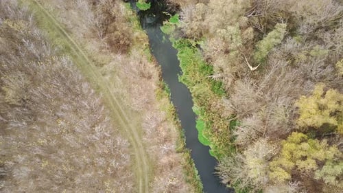 Vue aérienne du magnifique paysage de la rivière qui coule entre les arbres