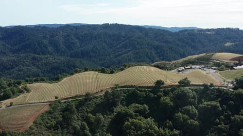 4K Winery Antenne