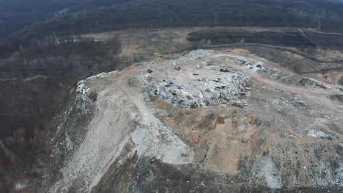 Landfill In Forest