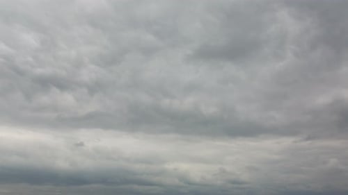 Overcast Sky with Gray Clouds and Single Bird