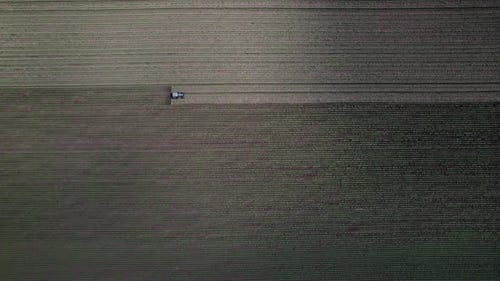 Agricultural Small Tractor in the Field