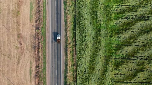 A Topdown Aerial View of Cars Driving Along a Road Along a Sunflower Field on a Summer Morning
