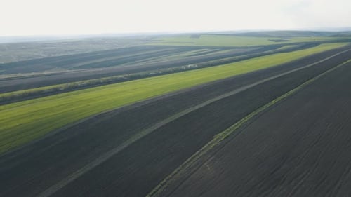 Luftbild Niedriger Flug über ländlicher Sommerlandschaft mit endloser grüner Wiese