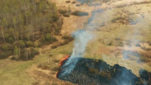 Aerial View Spring Dry Grass Burns During Drought Hot Weather
