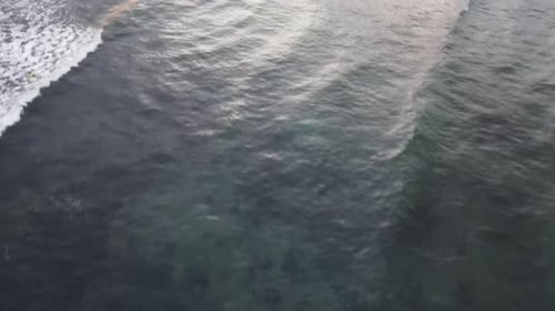 Aerial view of people surfing on waves during sunset when vacation in Bali, Indonesia.
