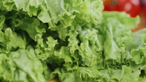 Lettuce Being Chopped with Knife Close Up