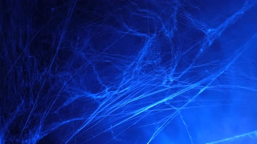 Halloween Spider Web in Blue Fog