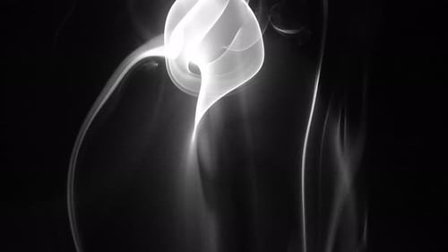 Abstract White Smoke Flowing on Black Background