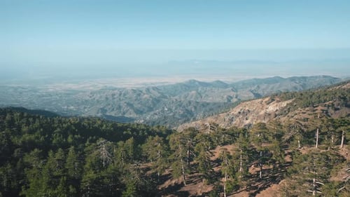 Aerial View of Scenic Dense Green Forest Mountain Nature Landscape in Countryside Cyprus