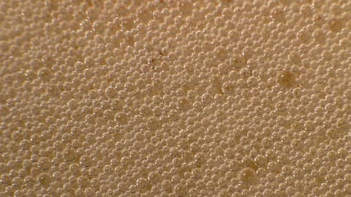 Kleine Bierblasen Makro