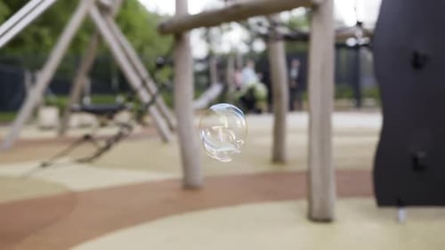 Soap Bubble Floating Gently in the Park