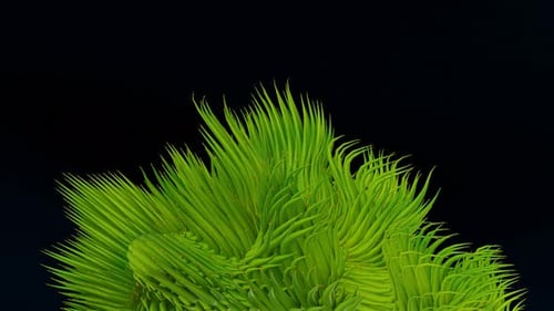 organic lines abstract animation. 4K green color