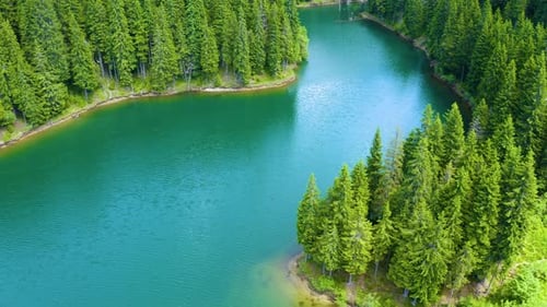 Aerial view over beautiful turquoise mountain lake and green forest. Summer in the mountains.