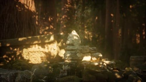 Hoary Ruins of Ancient City in Pine Forest