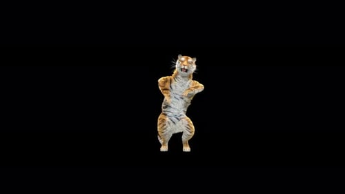 Tiger Tanzen 4K