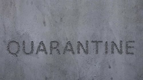 Bullet entra en cuarentena