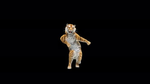 Tiger Tanzen 4K