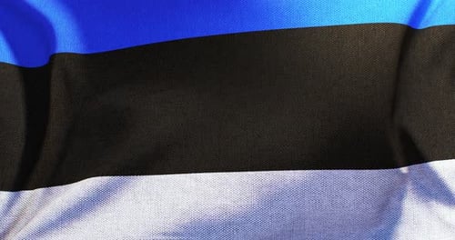 Estonian Flag Waving Realistic Cloth Animation