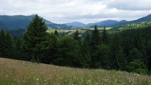 Mountain Landscape With The Green Grassy Lawn 2