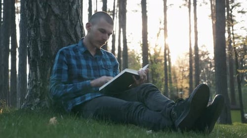 Männlicher Student sitzt auf Gras im öffentlichen Park und liest bei wunderschönem Sonnenuntergang ein Buch.