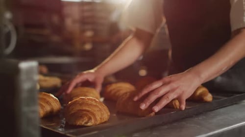 Fresh Croissants in Bakery Arranged on Baking Sheet