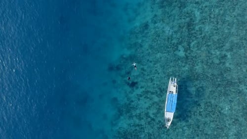 Snorkelers Explore Tropical Coral Reef from Overhead Aerial