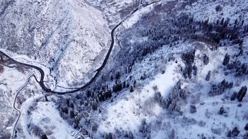 Snowy Mountains Winter Forest and Road with Cars