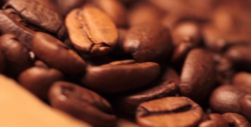 Coffee 2