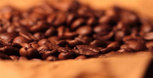 Coffee 6