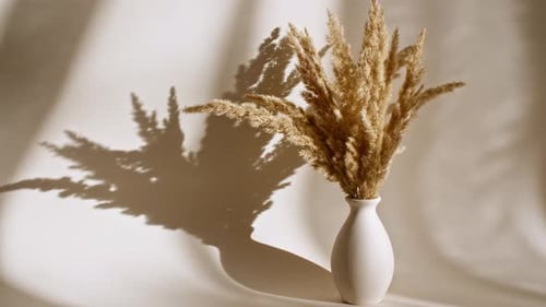Vase of Ornamental Grass With Shadows
