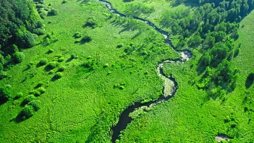Stunning winding river and green swamps at sunrise, Poland