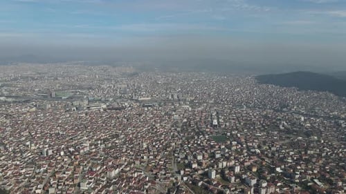 Aerial Suburban Houses View