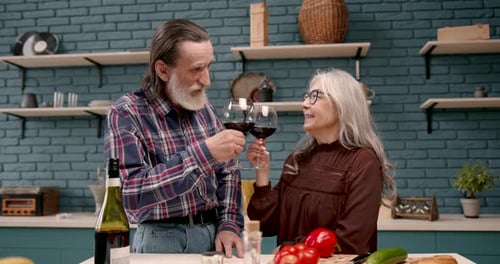 Senior Couple Toasting Wine in Kitchen