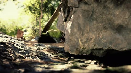 Photo prise depuis l'intérieur d'une petite grotte donnant sur