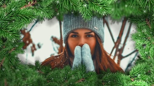 Christmas Pine Branches Frame Reveal