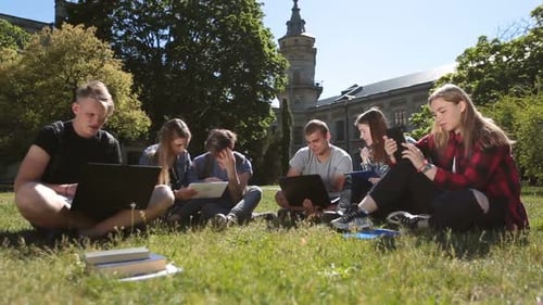 College Students Studying Together Outdoors on Campus Lawn