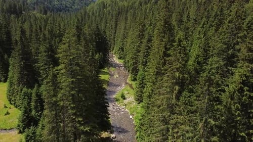 AERIAL Water Flows Through the Stones