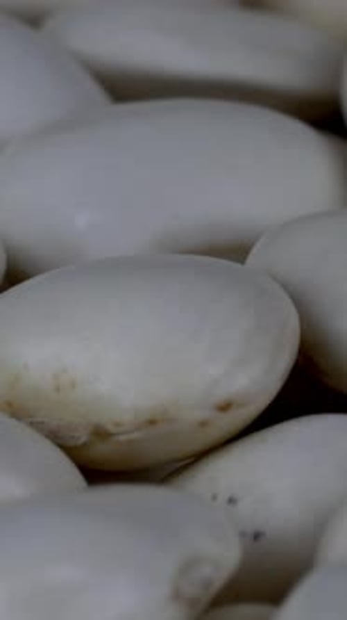 White Dry Organic Kidney Beans Rotating Slowly on Turntable Food Background