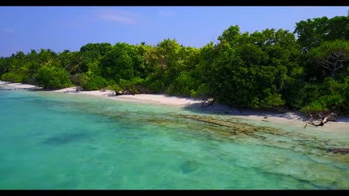 Aerial top view nature of perfect lagoon beach wildlife by transparent sea and white sand background